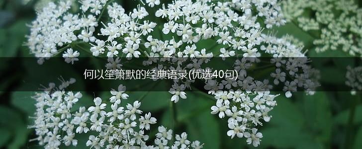 何以笙箫默的经典语录(优选40句),第1张