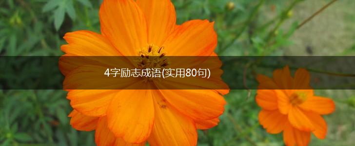 4字励志成语(实用80句),第1张