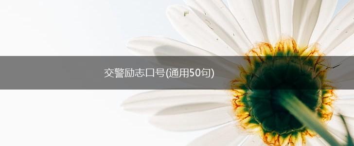 交警励志口号(通用50句),第1张
