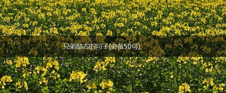 兄弟励志的句子(必备50句),第1张