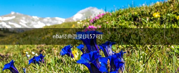 nba经典语录(共57句),第1张