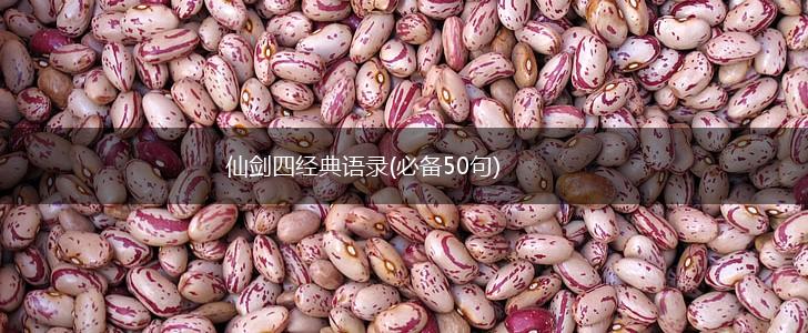 仙剑四经典语录(必备50句),第1张