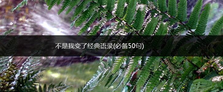 不是我变了经典语录(必备50句),第1张