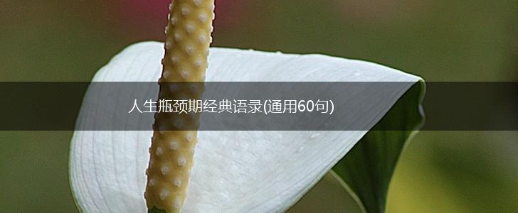 人生瓶颈期经典语录(通用60句),第1张