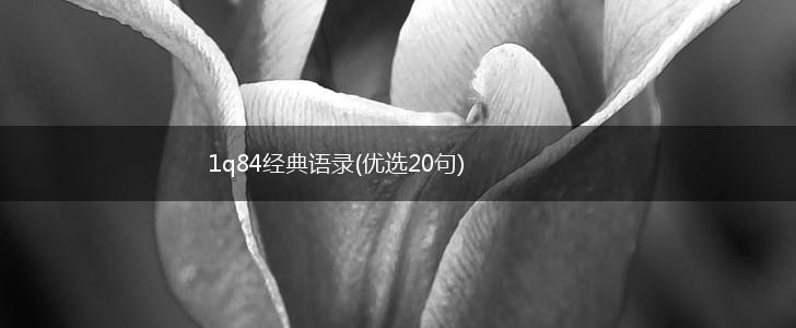 1q84经典语录(优选20句),第1张