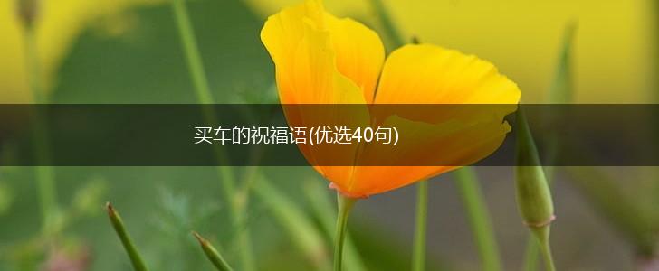 买车的祝福语(优选40句),第1张