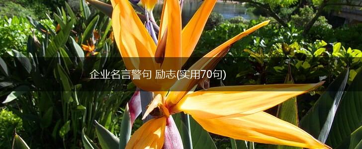 企业名言警句 励志(实用70句),第1张