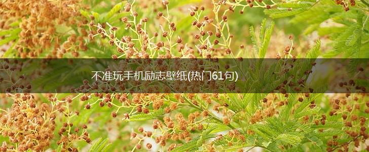 不准玩手机励志壁纸(热门61句),第1张