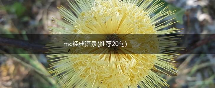 mc经典语录(推荐20句),第1张