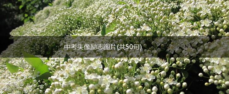 中考头像励志图片(共50句),第1张