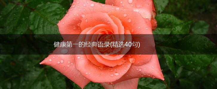 健康第一的经典语录(精选40句),第1张
