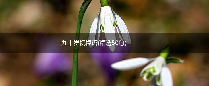 九十岁祝福语(精选50句),第1张