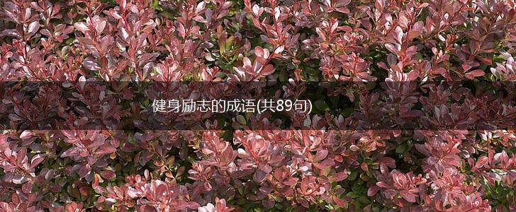 健身励志的成语(共89句),第1张