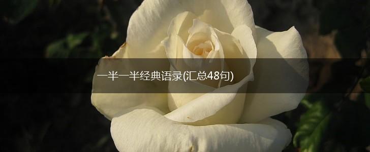 一半一半经典语录(汇总48句),第1张