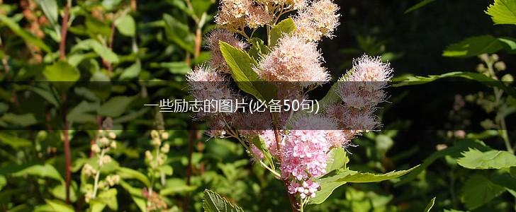 一些励志的图片(必备50句),第1张