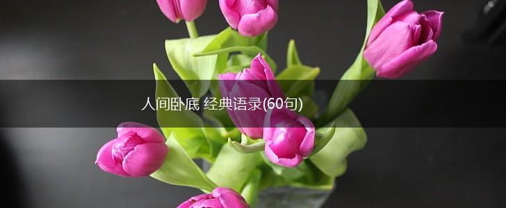 人间卧底 经典语录(60句),第1张