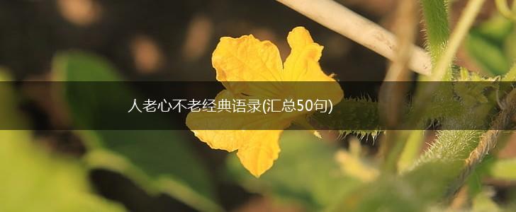 人老心不老经典语录(汇总50句),第1张