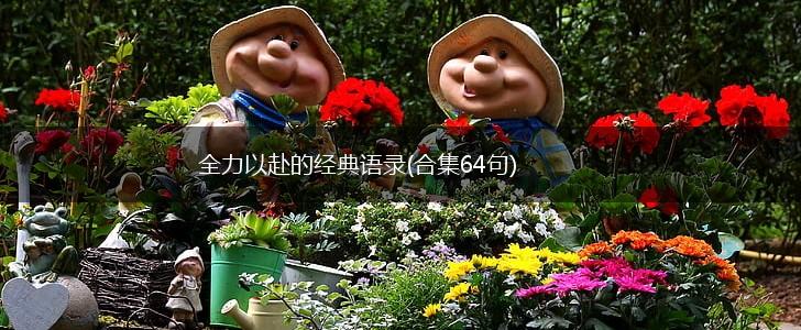 全力以赴的经典语录(合集64句),第1张