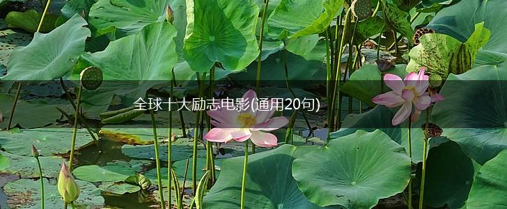 全球十大励志电影(通用20句),第1张