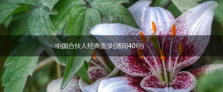 中国合伙人经典语录(通用40句),第1张