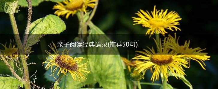 亲子阅读经典语录(推荐50句),第1张