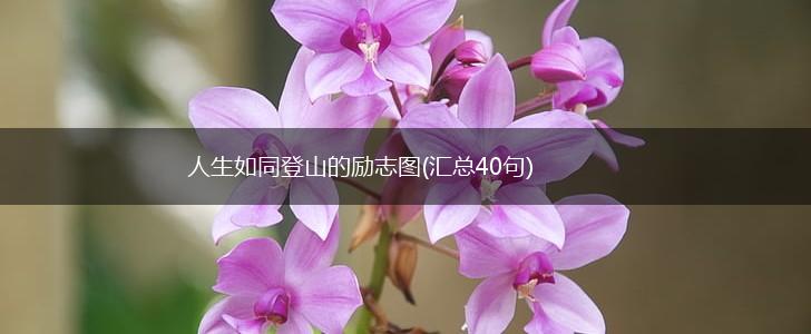 人生如同登山的励志图(汇总40句),第1张