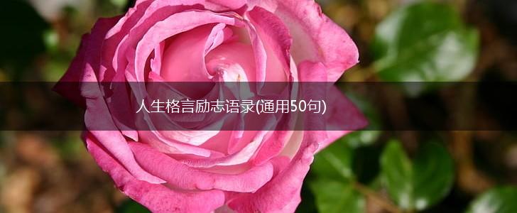 人生格言励志语录(通用50句),第1张