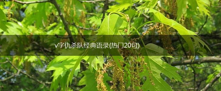 v字仇杀队经典语录(热门20句),第1张