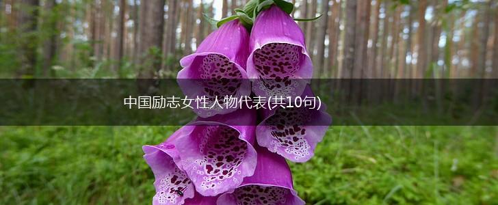 中国励志女性人物代表(共10句),第1张