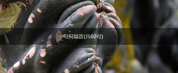 一句祝福语(共60句),第1张