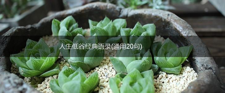人生低谷经典语录(通用20句),第1张