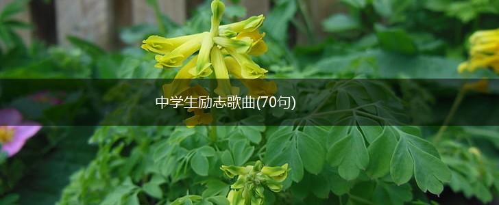 中学生励志歌曲(70句),第1张