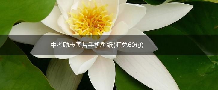 中考励志图片手机壁纸(汇总60句),第1张