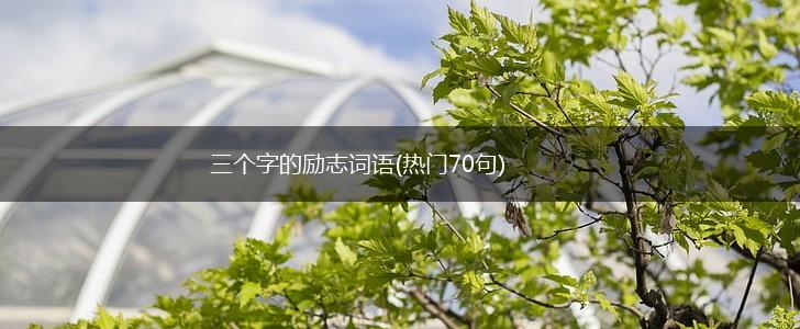 三个字的励志词语(热门70句),第1张