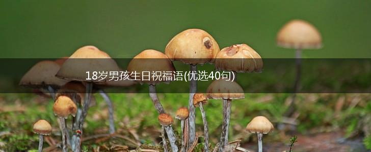 18岁男孩生日祝福语(优选40句),第1张
