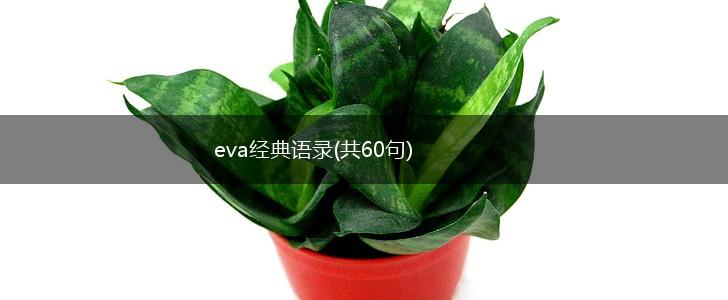 eva经典语录(共60句),第1张