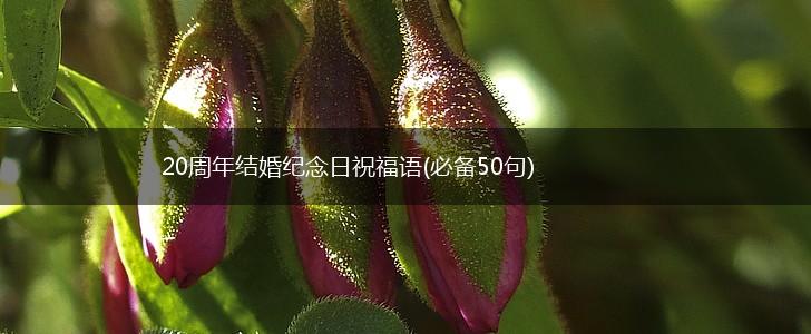 20周年结婚纪念日祝福语(必备50句),第1张