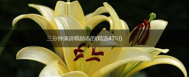 三分钟演讲稿励志的(精选47句),第1张