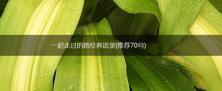 一起走过的路经典语录(推荐70句),第1张