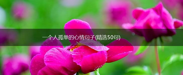 一个人孤单的心情句子(精选50句),第1张