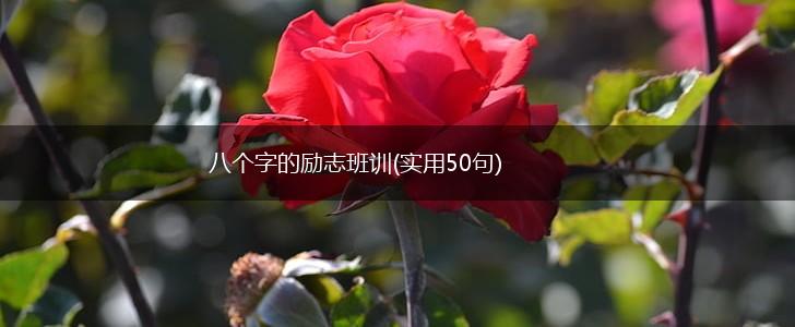 八个字的励志班训(实用50句),第1张