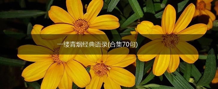 一缕青烟经典语录(合集70句),第1张