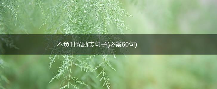 不负时光励志句子(必备60句),第1张