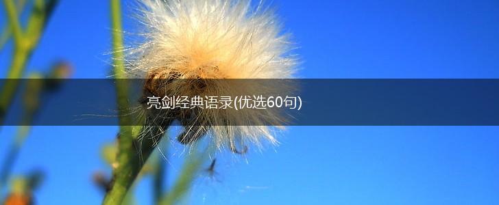 亮剑经典语录(优选60句),第1张