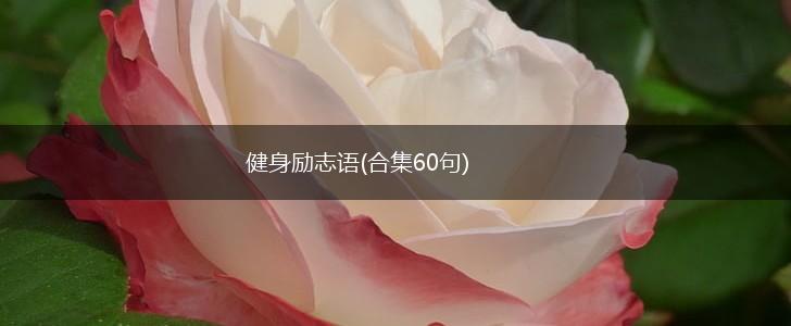 健身励志语(合集60句),第1张