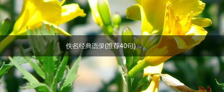 佚名经典语录(推荐40句),第1张
