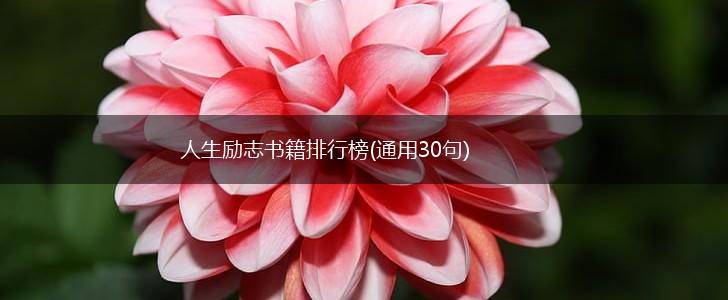 人生励志书籍排行榜(通用30句),第1张