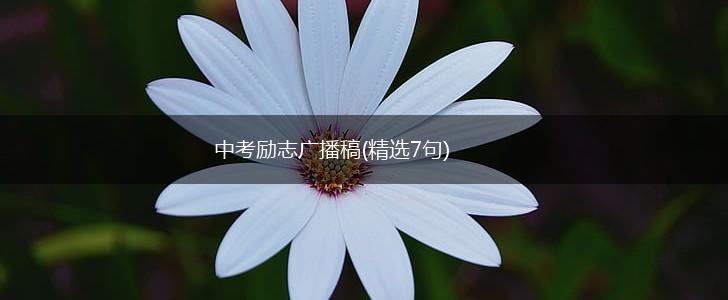 中考励志广播稿(精选7句),第1张