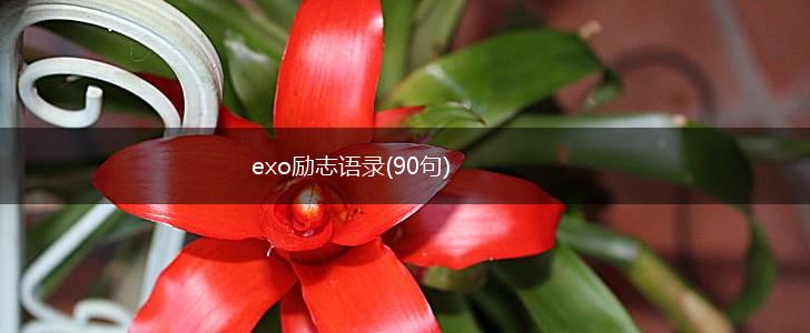 exo励志语录(90句),第1张