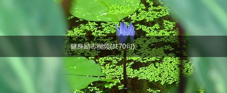 健身励志视频(共70句),第1张